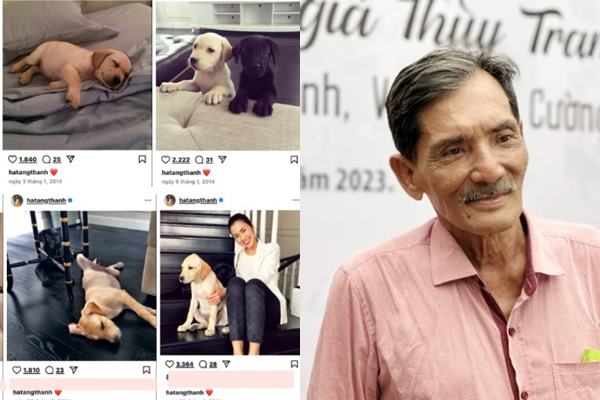 Chí Trung lên tiếng về vụ con chó của Tăng Thanh Hà ch:ế:t được báo chí chia buồn ầm ầm, dàn nghệ sĩ vào tiếc thương đ:au kh:ổ, dân mạng nghĩ ngay đến Thương Tín