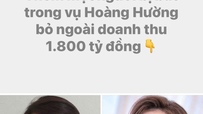 Vụ án Hoàng Hường: Hoá ra Hoàng Hường chỉ là quân tốt thí, đây mới thật sự là ‘bà trùm đứng sau’, danh tính khiến ai cũng ch:oáng?
