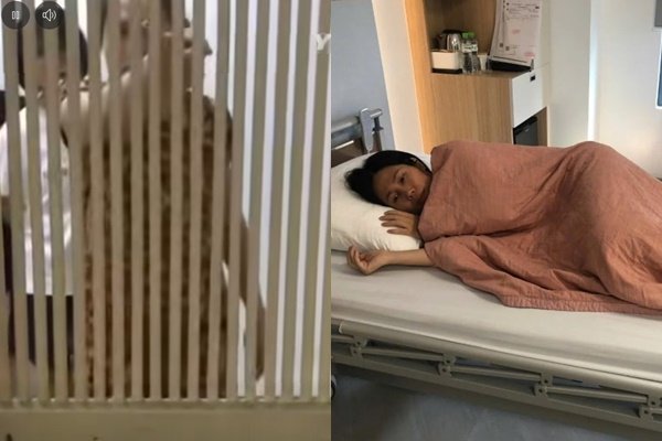 Thái độ gây bức xúc của người đ:ánh hàng xóm vì con trai bị tố s:àm s:ỡ, n:ạn nhân đã định bán nhà chuyển đi nơi khác vì an toàn của bản thân và con gái